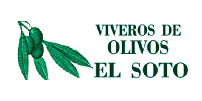 Viveros de olivos El Soto